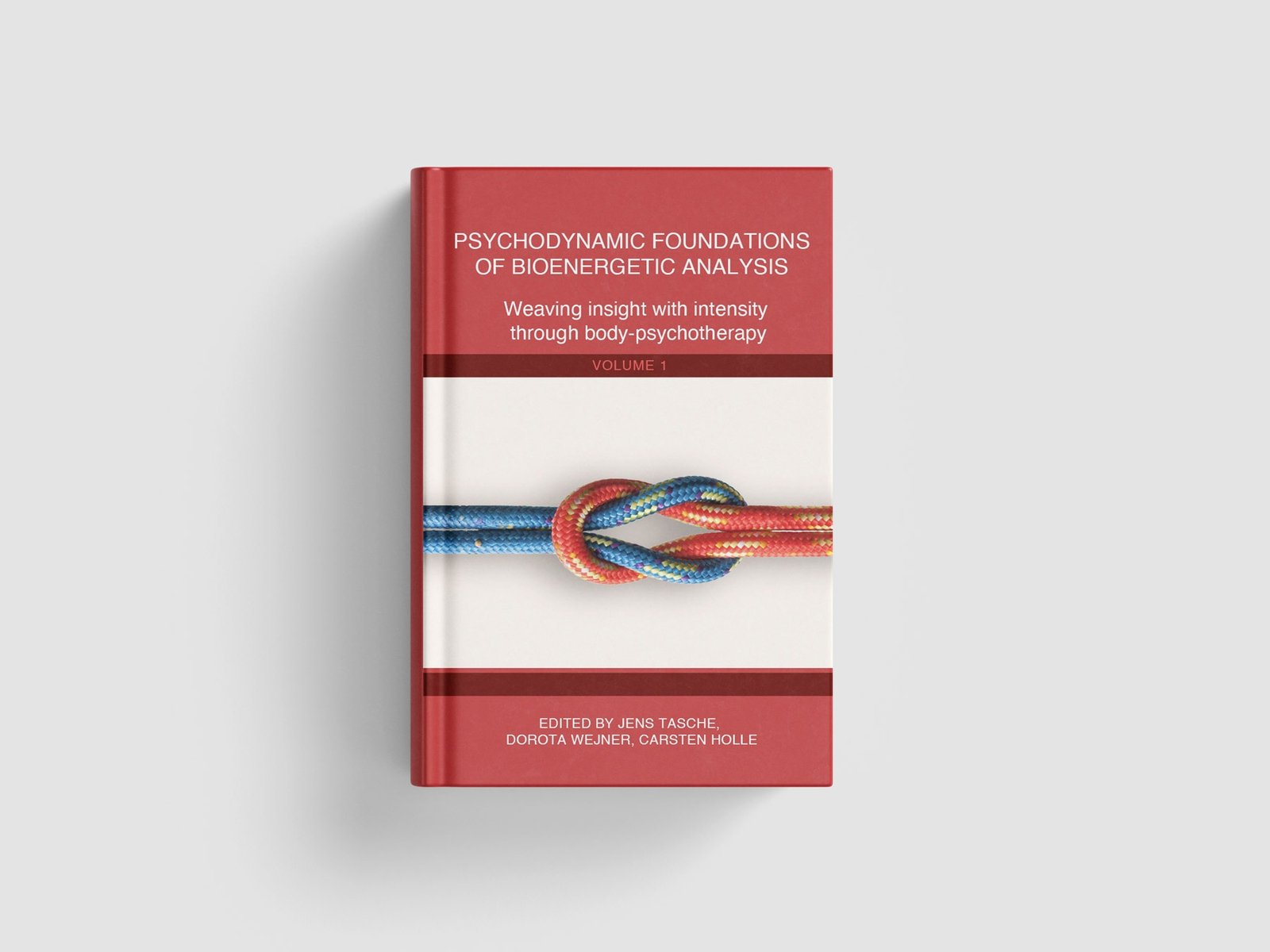 Psychodynamic Foundations of Bioenergetic Analysis Book Mockup