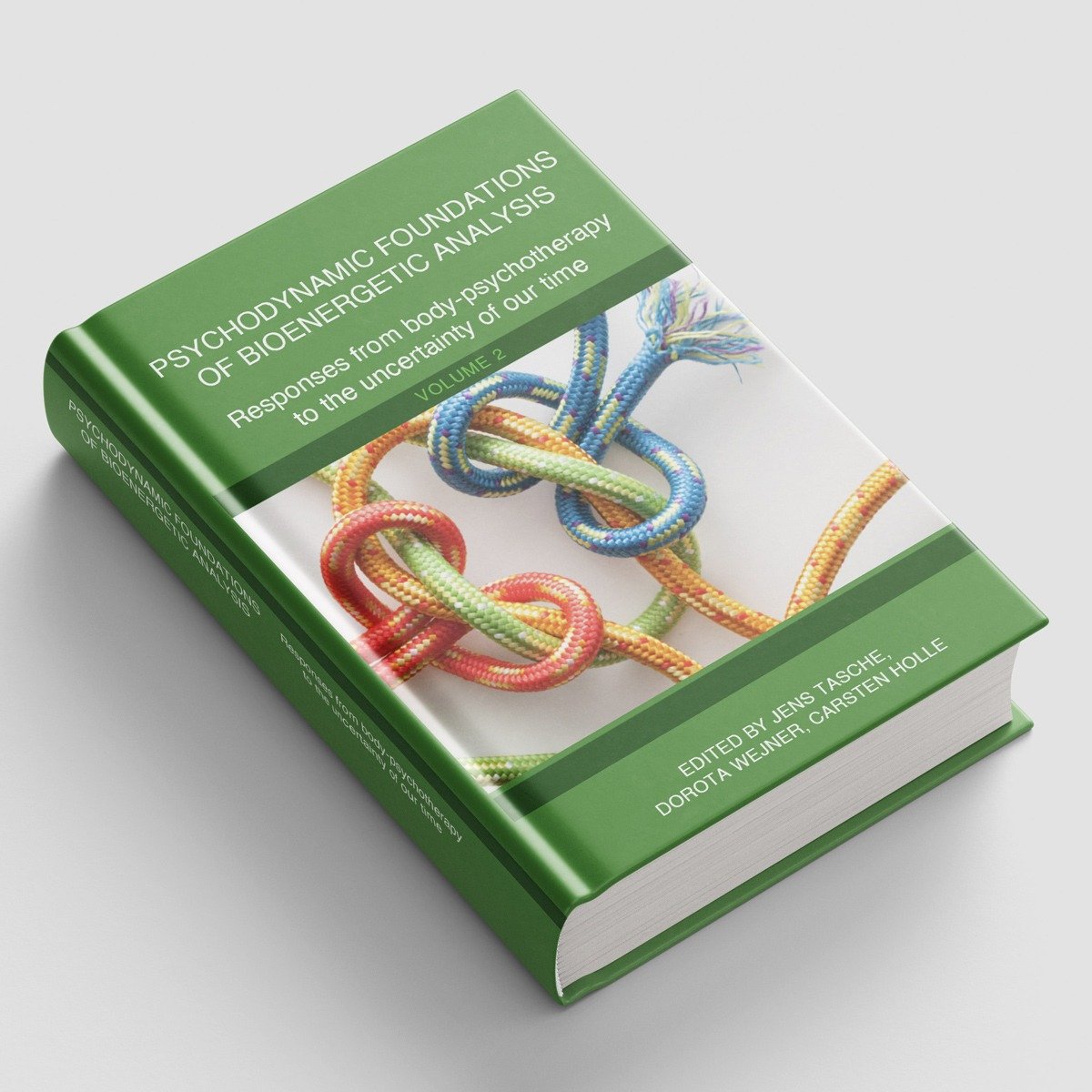 Psychodynamic Foundations of Bioenergetic Analysis / Responses from Body-Psychotherapy to the uncertainty of our times Book Mockup